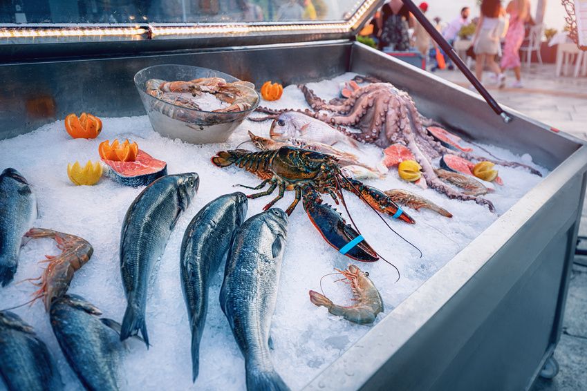 Fresh fish and seafood displayed on ice